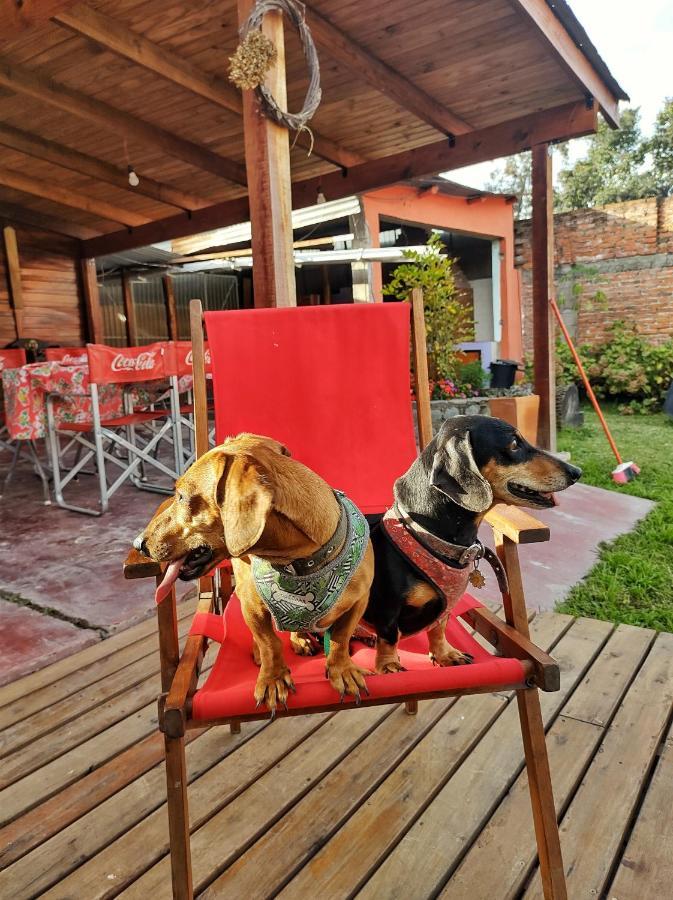 Villa Cabana La Herencia à San Salvador de Jujuy Extérieur photo